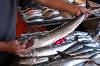 Llama IMSS a extremar cuidados en el consumo de pescados y mariscos en esta temporada de calor.
