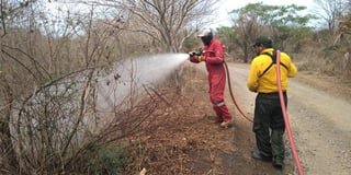 El Equipo Estatal de Manejo de Incidentes (EEMI), dio a conocer que el incendio forestal ubicado en el paraje La Pedrera del municipio de Alto Lucero, también lleva un 70% de liquidación del fuego. (ESPECIAL)