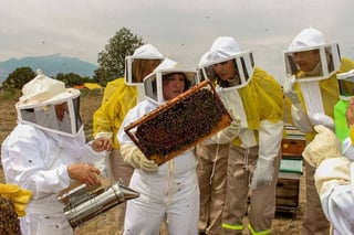 A través del análisis de las características físico-químicas de la miel se descarta la presencia de residuos en el producto final. (EL SIGLO DE TORREÓN)