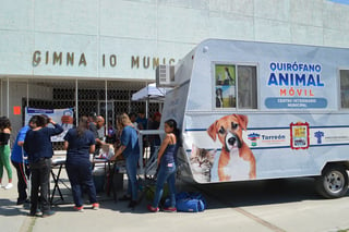 Salud Pública de Torreón mantiene acciones constantes de control de animales en las calles. (ROBERTO ITURRIAGA)