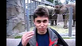 El 23 de abril de 2005 se subió un video en donde se ve a Jawed frente a la jaula de los elefantes, clip que hoy acumula más de 66 millones de visitas. (ESPECIAL) 
