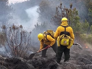 De acuerdo al reporte semanal que emite la Comisión Nacional Forestal, Durango se encuentra en superficie media afectada y en incidencia media en cuanto al número de incendios por lo que su situación no es grave ni alarmante. (ESPECIAL)