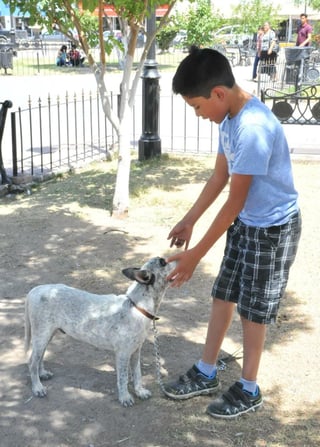 El can le regresó la alegría y “el alma al cuerpo” expresó Luis luego de recibir y abrazar a su mascota, entregada por la división canina de Protección Civil. (EL SIGLO COAHUILA)
