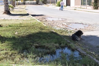 En los meses más calurosos se agudiza el problema de falta de agua y el drenaje tapado. (MARY VÁZQUEZ)
