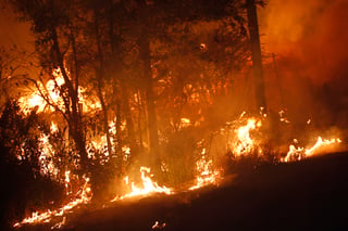 En lo que va de 2019 se han registrado 42 incendios forestales en el estado de Durango de acuerdo al reporte de la Conafor. (EL SIGLO DE TORREÓN)