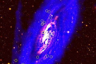 Encabezó una investigación internacional que descubrió cúmulos globulares en la galaxia espiral Messier 106. (EFE)