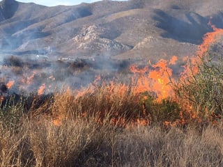 Los incendios se registraron en distintos puntos de la entidad, con una afectación de más de dos mil 100 hectáreas.
