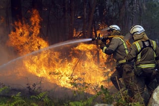 Mayo es históricamente el mes en el que más se registran incendios forestales en el país. (ARCHIVO)
