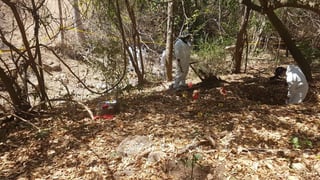 La caravana de búsqueda de personas desaparecidas y personal de la Fiscalía General del Estado de Michoacán (FGE) encontró 43 fragmentos de restos óseos en una fosa del municipio de Aquila, Michoacán. (TWITTER)