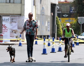  Diputados del Congreso capitalino propusieron una pena de dos a seis años de prisión a quien robe mascotas o animales de compañía en la Ciudad de México. (ARCHIVO)