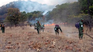 En el Incendio Forestal Bosque La Primavera participan 308 personas, 92 vehículos y un helicóptero. (ARCHIVO)