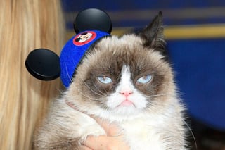 Grumpy Cat, una verdadera diva de internet que inspiró miles de 'memes' y también comics, películas, ropa y perfumes, murió por complicaciones de una infección urinaria. (ARCHIVO)