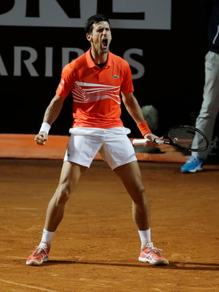 Novak Djokovic celebra tras imponerse en un duro partido 4-6, 7-6, 6-4 a Juan Martín del Potro.