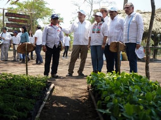 El presidente Andrés Manuel López Obrador visitó el Vivero Forestal Militar 'Balancán', en el ejido Apatzingán, Tabasco. (NOTIMEX)