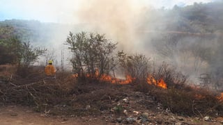 En el país, 98 por ciento de los incendios forestales son provocados por la mano del hombre, y en la Ciudad de México la cifra llega al 100 por ciento, manifestó Arturo Cruz Reyes, de la Comisión Nacional Forestal (Conafor). (ARCHIVO)