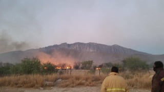 Los bomberos, con el apoyo de los empleados de la empresa, lograron luego de tres horas de trabajo sofocar el incendio y asegurar el área. (EL SIGLO DE TORREÓN)
