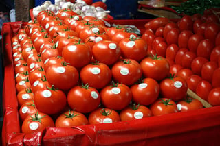 Los exportadores de tomate se enfrentan al pago del arancel del 17.5 por ciento para enviar la hortaliza al otro lado de la frontera norte de México. (ARCHIVO)