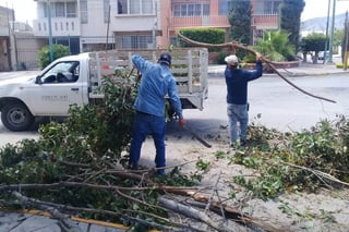Trabajadores de Servicios Públicos retiraron árboles y ramas que cayeron con los vientos y lluvia. (EL SIGLO DE TORREÓN) 