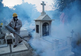 Las autoridades de México no han comprado insecticidas para atacar al mosquito que causa el dengue lo que ha provocado 42 muertes por esta enfermedad en 2019, advirtió este martes la ONG Mexicanos contra la Corrupción y la Impunidad (MCCI). (EFE)