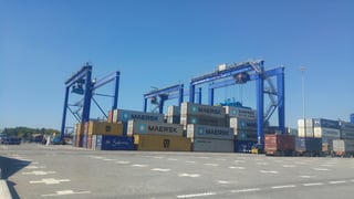 El experto en logística señaló que debido al bloqueo de las vías ferroviarias, el uso del transporte con destino al puerto de Lázaro Cárdenas disminuyó entre ocho a nueve por ciento. (ARCHIVO)