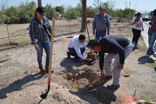 El municipio de Torreón está cerca de llegar a su meta de reforestación anual, más de 6 mil árboles. (ROBERTO ITURRIAGA)
