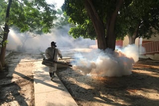 Mantienen las autoridades las acciones para prevenir la proliferación del mosquito del dengue, zika y chikungunya en Torreón. (ROBERTO ITURRIAGA)