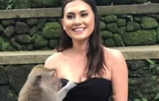 La joven se preparaba para una fotografía cuando el animal jaló de su vestimenta (INTERNET)  