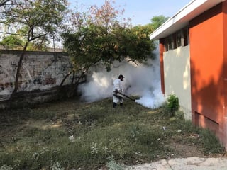 La Secretaría de Salud señaló que se cuenta con insecticida suficiente para la fumigación en contra del mosquito portador.