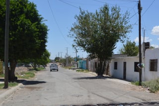 La propuesta incluye plantar árboles nativos en varios puntos del municipio, y pedirlos en donación a los viveros de Lerdo, Torreón y Viesca. (EL SIGLO DE TORREÓN)