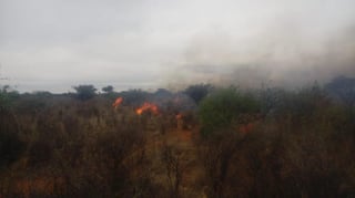 En la presente temporada, los incendios forestales afectaron a 14 mil 300 hectáreas en Zacatecas y en estos momentos hay tres siniestros activos en el estado, Genaro Codina, Moyahua y Mezquital del Oro. (TWITTER)