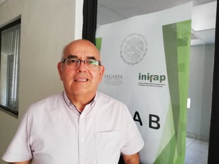 José Alfredo Samaniego, investigador de nogal del Instituto Nacional de Investigaciones Forestales, Agrícolas y Pecuarias (Inifap). (ARCHIVO)
