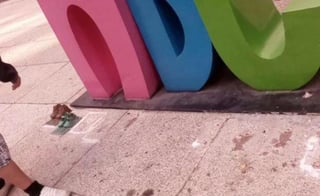 Ocho réplicas de pares de zapatos de bronce, como recordatorio de la tragedia de la guardería ABC, fueron robados del llamado 'antimonumento', que padres de los menores instalaron sobre el camellón de Paseo de la Reforma, justo frente a las oficinas centrales del IMSS. (EL UNIVERSAL)