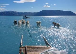 Para lugares como Groenlandia, el derretimiento del hielo causa estragos en su modo de vida. (INTERNET)