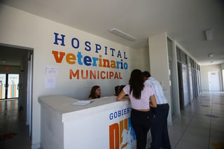 El Nuevo Hospital Veterinario inició funciones sin medicamentos para hacer cirugías.