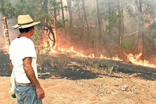 En su reporte más reciente, la dependencia informó que al momento ningún incendio forestal se encuentra activo. En total, dijo, durante la temporada de estiaje, Michoacán registró 711 incendios forestales, con más de 14 mil hectáreas afectadas. (ARCHIVO)