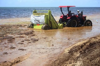 En tanto, el gobernador de Quintana Roo, Carlos Manuel Joaquín González, señaló que no se ha visto afectada la ocupación hotelera, pero sí las actividades que se realizan en la playa. (ARCHIVO)
