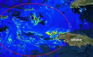 La red es un observatorio ciudadano que usa información de 20 instituciones, entre ellas la Administración Nacional de la Aeronáutica y del Espacio (NASA), para informar, prevenir y alertar sobre el arribo de sargazo a las costas mexicanas del Caribe.
