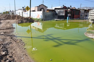 Son varias semanas las que han tenido que soportar vecinos de Rincón La Merced con aguas negras. (FERNANDO COMPEÁN)