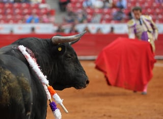 El estado de Quintana Roo prohibió las corridas de toros al aprobar la Ley de Protección y Bienestar Animal, informaron este viernes medios locales. (ARCHIVO)