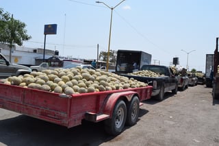 Ante el 'desplome' del precio del melón, algunos productores de Tlahualilo buscan alternativas de comercialización en otros estados. (EL SIGLO DE TORREÓN)