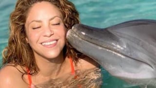 La cantante colombiana fue severamente criticada en Instagram luego de que subiera una fotografía junto a un delfín. (ESPECIAL)