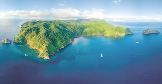 La isla, situada a más de 500 kilómetros de territorio continental costarricense, es casa de más de 2,600 especies de flora y fauna insular y marina, 100 de ellas únicas en el mundo. (ESPECIAL)