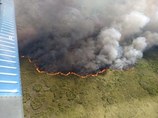 El fuego ya ha consumido 600 hectáreas de arbustos y otras plantas. (TWITTER: @SEMAQROO)