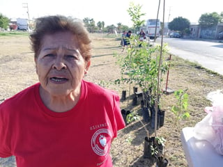 A temprana hora ella junto con su nieto y 2 estudiantes más comenzaron a limpiar la zona en donde plantarían 20 árboles en la plaza. (EL SIGLO)