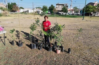 Antonia de la Rosa pidió en donación 20 árboles para ser plantados en la plaza de su colonia. (VIRGINIA HERNÁNDEZ)