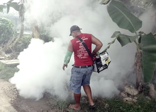 Cada año el virus del dengue es combatido en Nicaragua a través de jornadas de fumigación y eliminación de criaderos. (ARCHIVO)