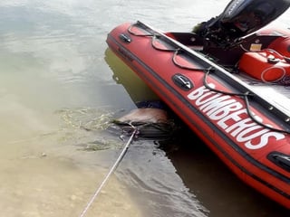 Encontraron el cuerpo flotando en las aguas del río Bravo,  cerca de donde fue visto por última vez. (EL SIGLO)