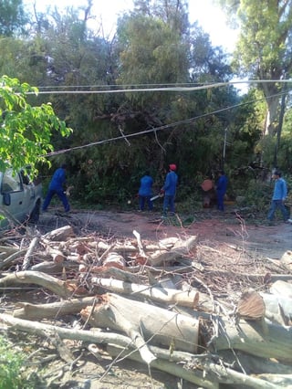Actualmente todavía hay restos de basura orgánica en el ejido San Luis, pese a que se retiraron camiones con árboles caídos. (DIANA GONZÁLEZ)