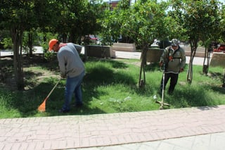 Cuadrillas limpian las áreas verdes y recogen toda la hierba y basura que se acumula en la ciudad de San Pedro. (EL SIGLO DE TORREÒN / BEATRIZ SILVA)
