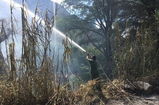 Brigadas contra incendios de la Comisión Nacional Forestal y personal de vigilancia del Parque Estatal atendieron este incidente. (EL SIGLO DE TORREÓN/ANGÉLICA SANDOVAL)